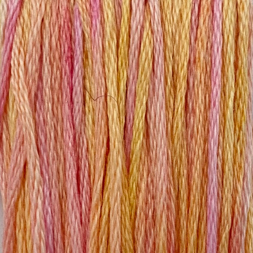 Divine Variegated Thread - Sarah&