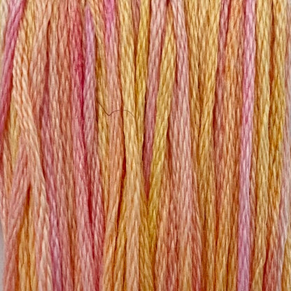 Divine Variegated Thread - Sarah&